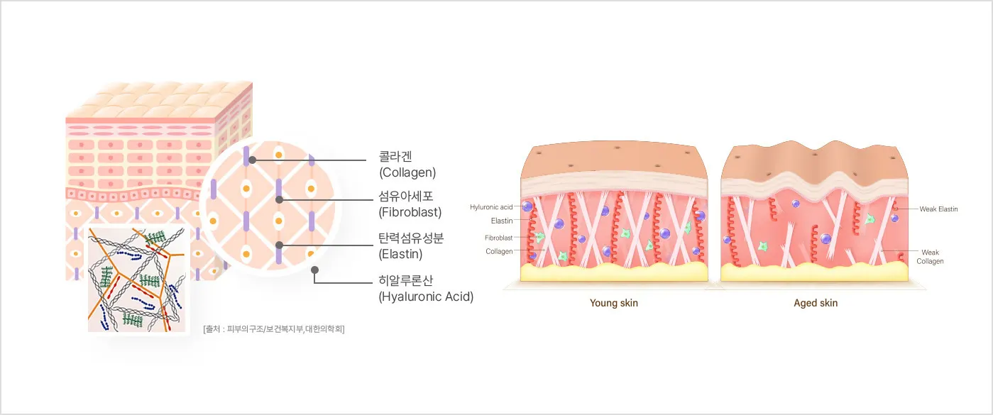 pds lvup11 build option aa1745460040 — 레벨업의원